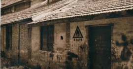 1951